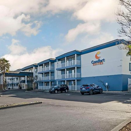 Comfort Suites Red Bluff Near I-5 Bagian luar foto